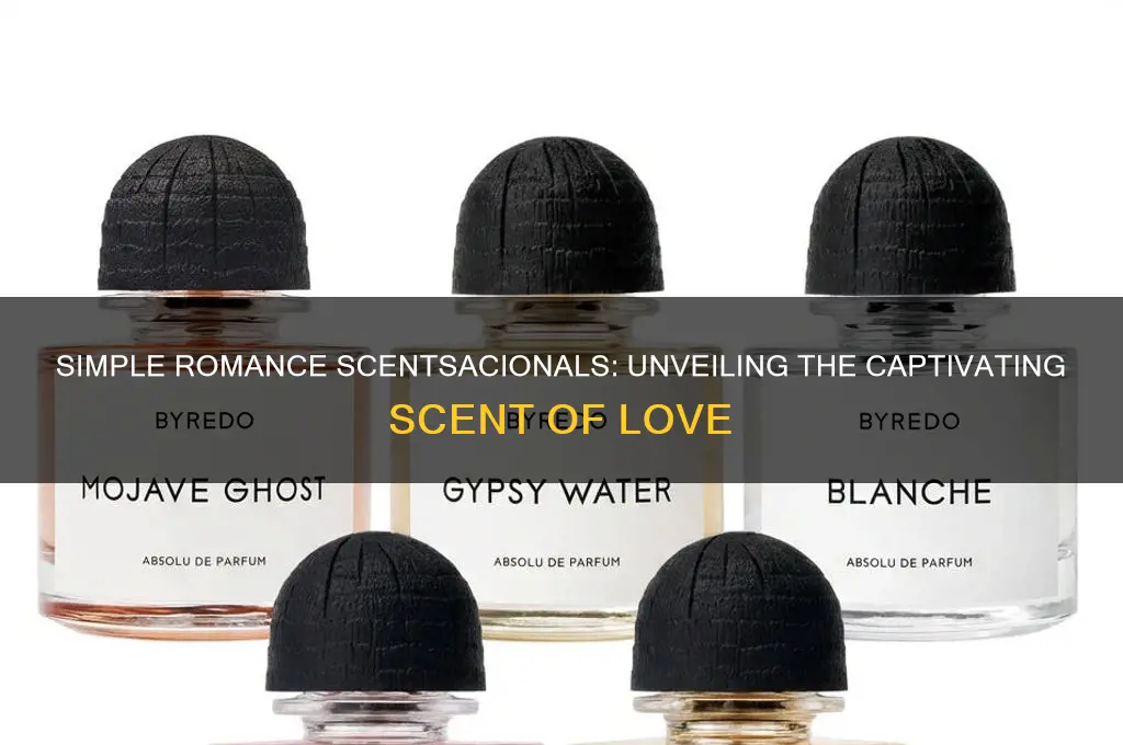 what is the scent of simple romance scentsacionals