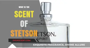 Unveiling the Timeless, Masculine Aroma of Stetson Cologne