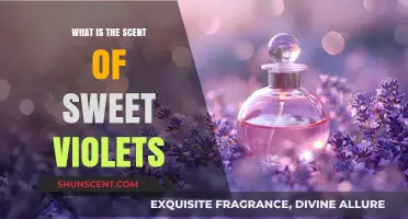 Exploring the Delicate, Enchanting Scent of Sweet Violets: A Fragrant Journey