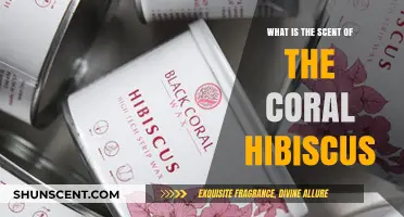 Discovering the Unique Fragrance of Coral Hibiscus Flowers