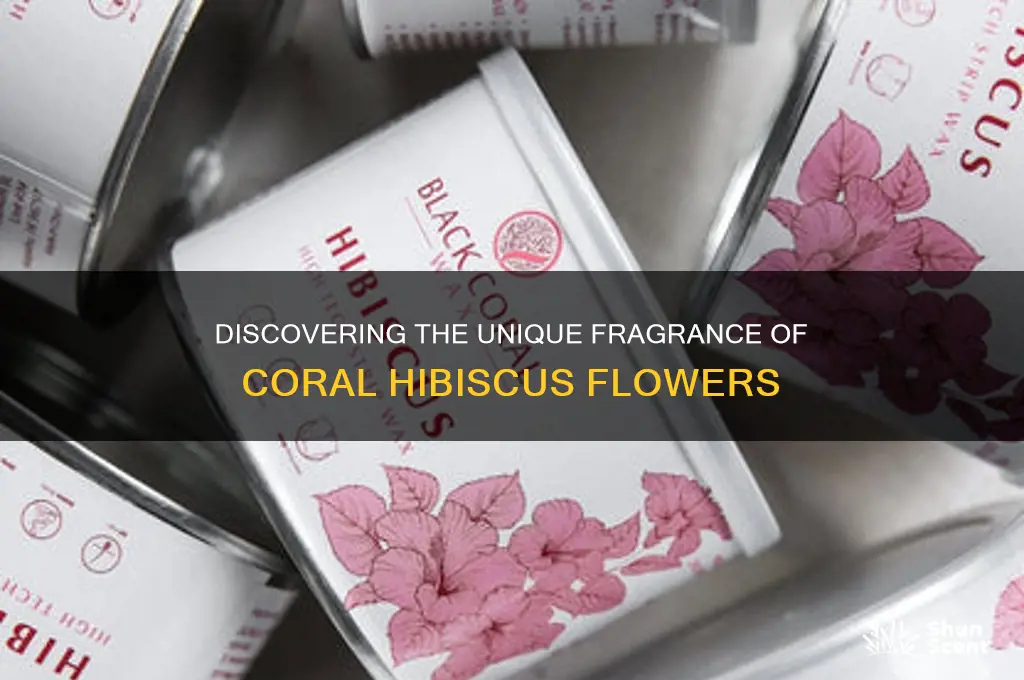 what is the scent of the coral hibiscus