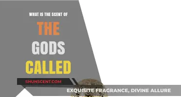 The Divine Fragrance: Unveiling the Scent of the Gods' Name