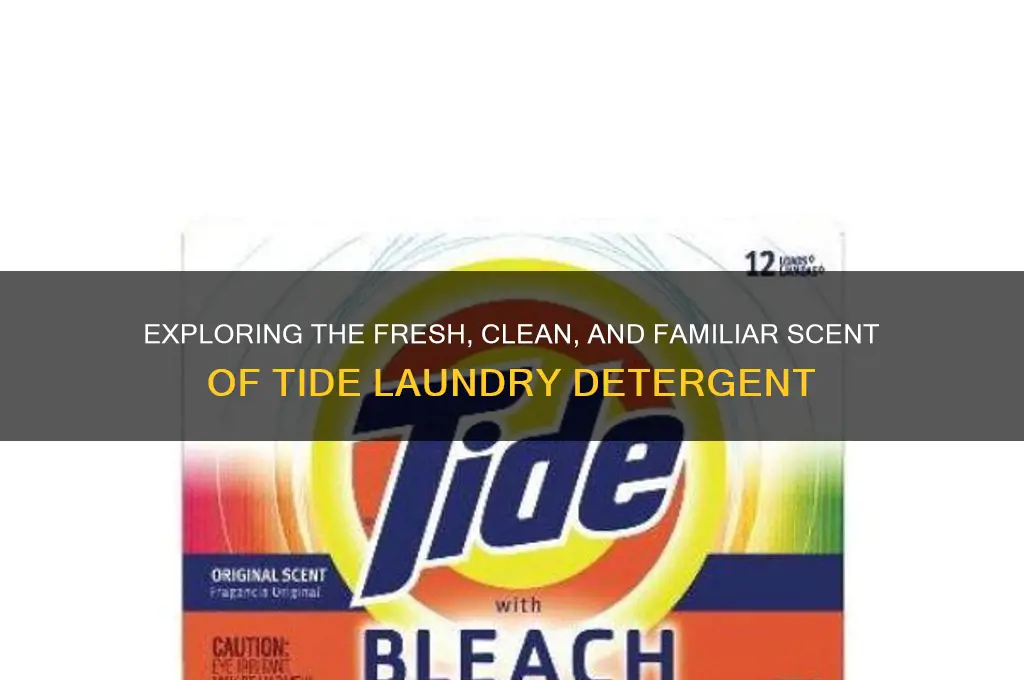what is the scent of tide
