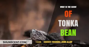 Discover the Warm, Sweet, and Almond-Like Aroma of Tonka Bean