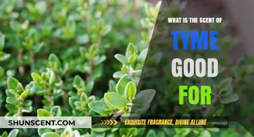 Discover the Surprising Benefits of Thyme's Aromatic Scent