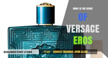 Unveiling Versace Eros: A Sensual Scent Journey Explored
