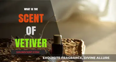 Discover the Earthy, Complex, and Alluring Scent of Vetiver