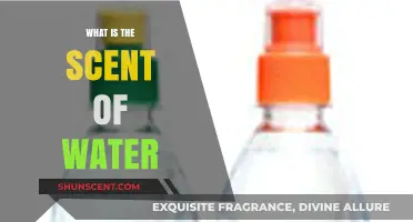 Exploring the Elusive Aroma: What Does Water Truly Smell Like?
