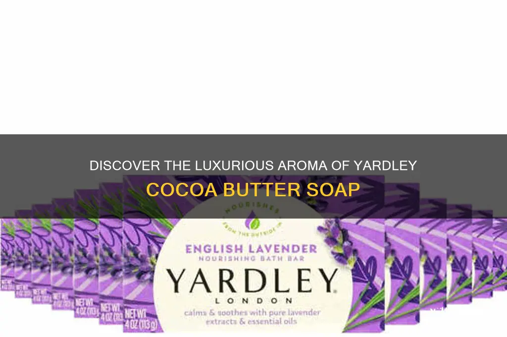 what is the scent of yardleycocoa butter soap