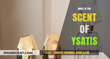 Unveiling the Mystique: The Enigmatic Scent of Ysatis Explored