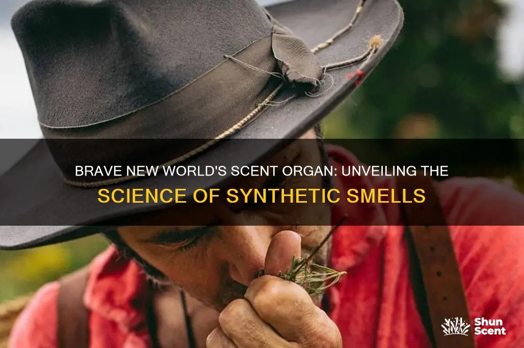 what is the scent organ in brave new world