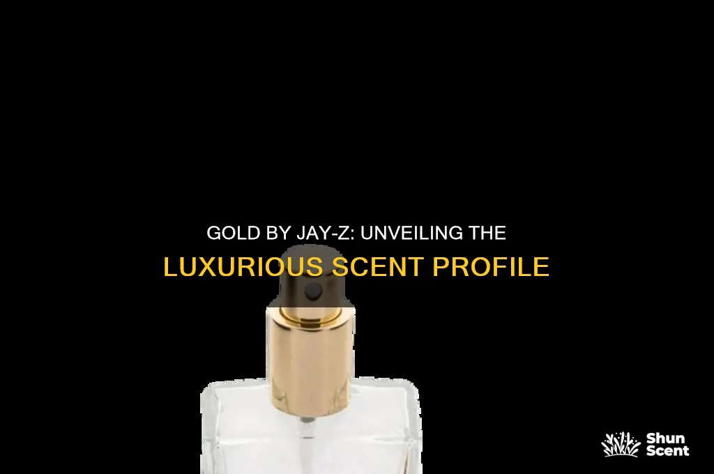 what is the scent profile of gold by jay z