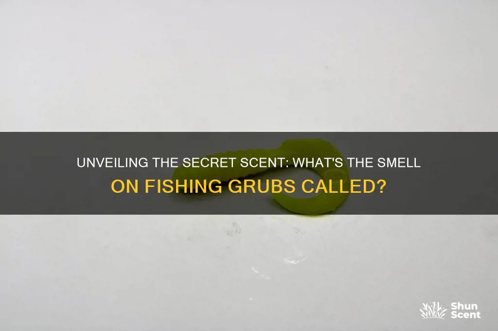 what is the scent put on fishing grubs called