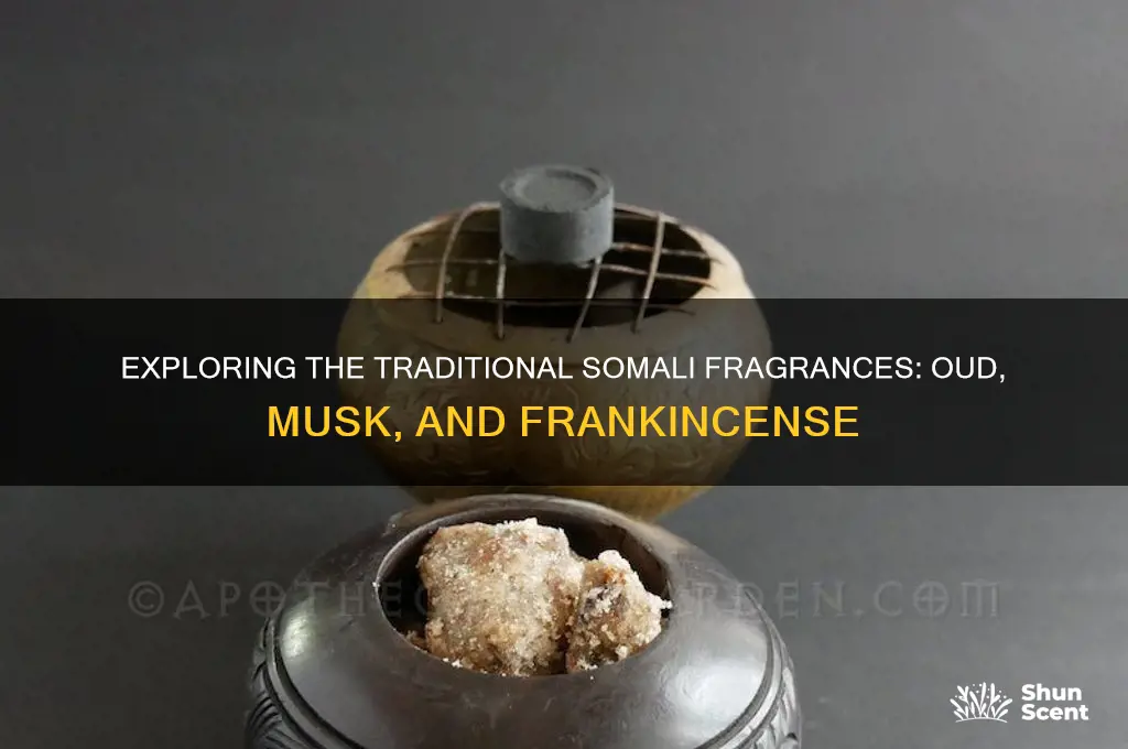 what is the scent somalis wear