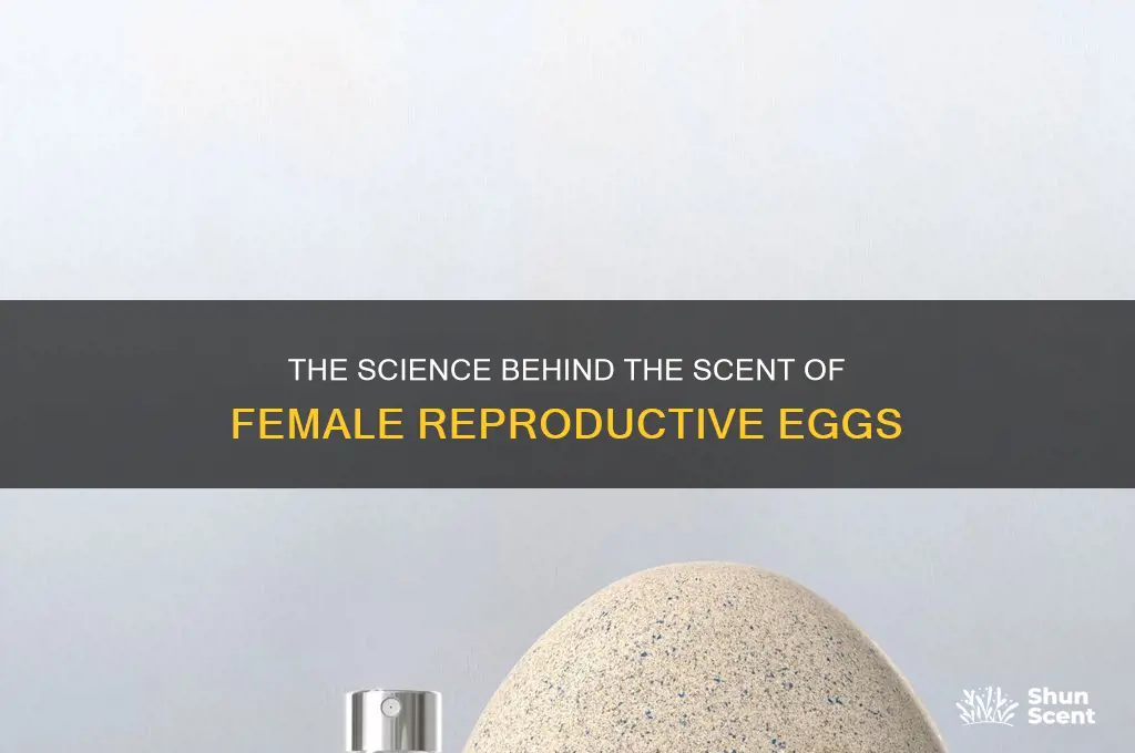 what is the scent that comes off of womens eggs