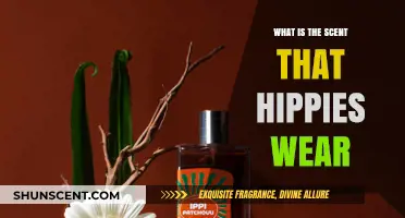 Unveiling the Aromatic Signature: What Scent Do Hippies Wear?