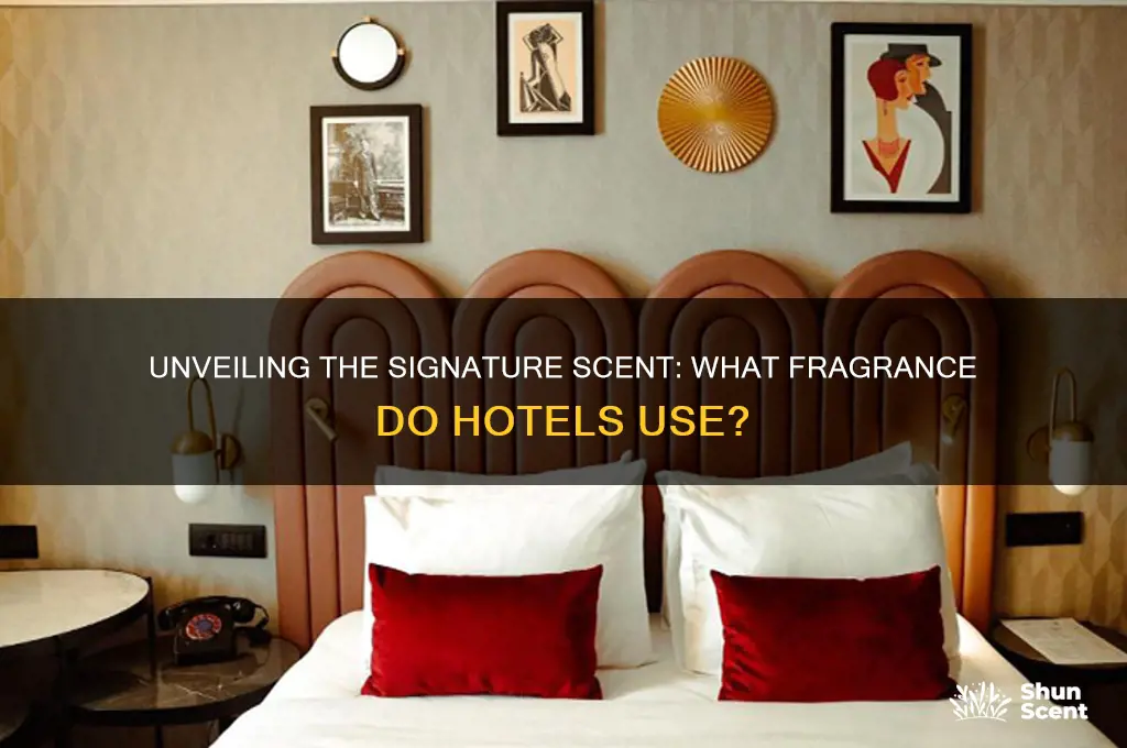 what is the scent that hotels use