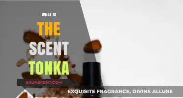 Discover the Warm, Sweet Allure of Tonka Bean Scent