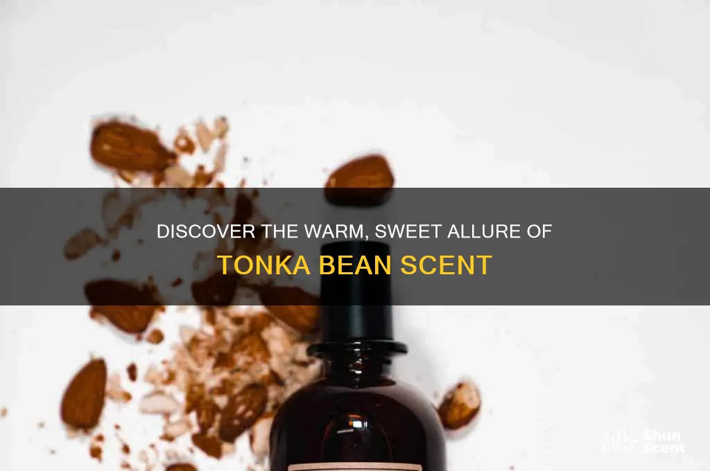what is the scent tonka