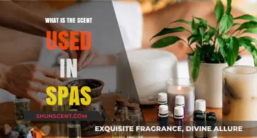 Unveiling the Soothing Aromas: What Scents Are Used in Spas?