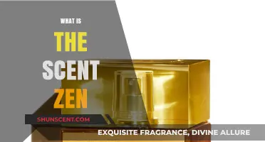 Exploring the Essence of Scent Zen: A Journey to Aromatic Bliss