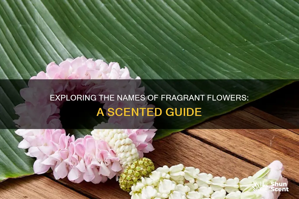 what is the scented flowers called