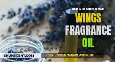 The Alluring Notes of Angel Wings Fragrance Oil