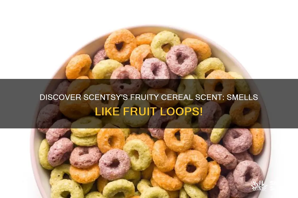 what is the scentsy scent that smells like fruit loops