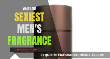The Most Seductive Scents: Fragrances for Men
