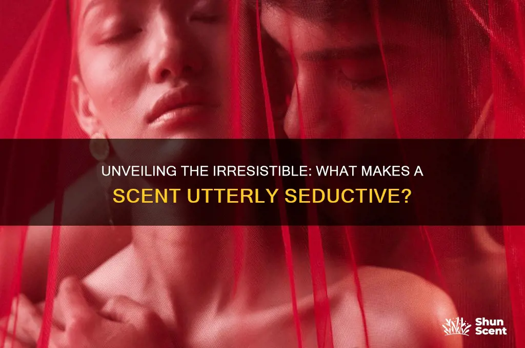 what is the sexiest scent