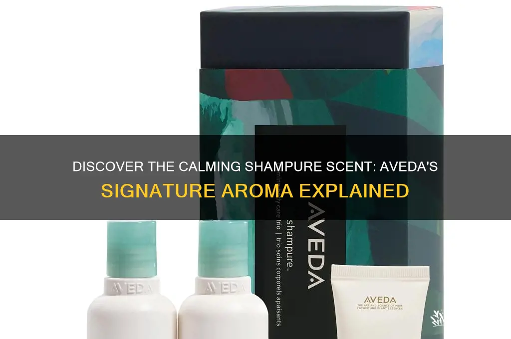 what is the shampure scent