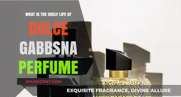 How Long Does Dolce & Gabbana Perfume Last?