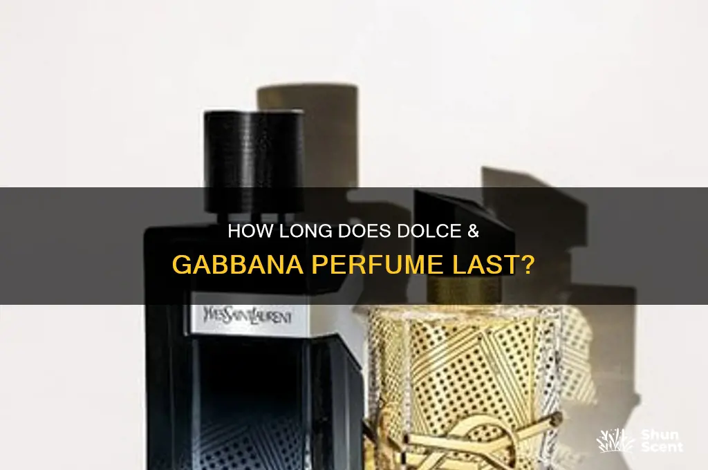 what is the shelf life of dolce gabbsna perfume