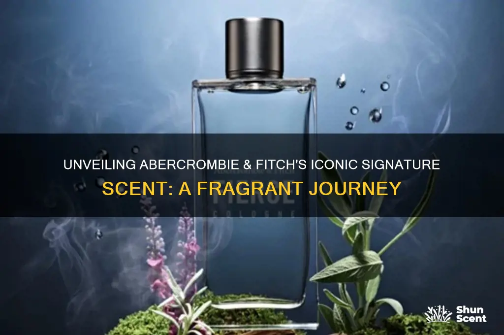 what is the signature abercrombie and fitch scent