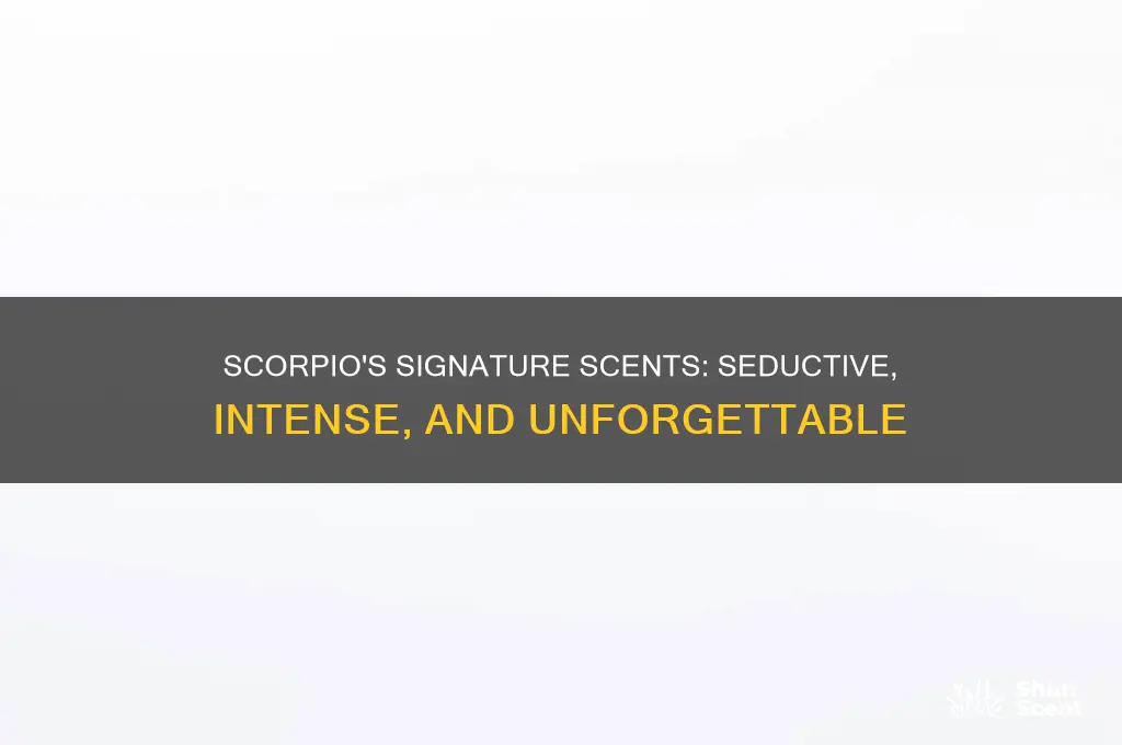 what is the signature perfume of a scorpio