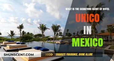 Discover Hotel Unico's Signature Scent: Mexico's Aromatic Luxury Experience