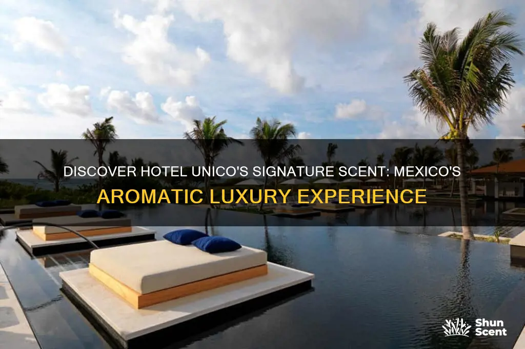 what is the signature scent of hotel unico in mexico