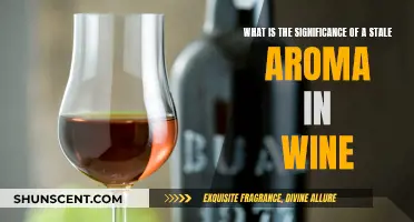 Stale Wine Aroma: What Does It Mean?