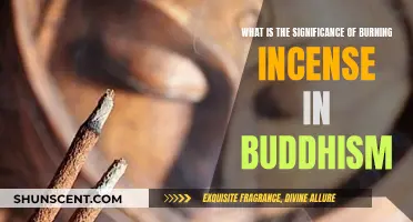 Incense in Buddhism: Significance of Scents in Spiritual Practice