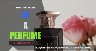 The Scent Trail: Understanding Perfume Sillage