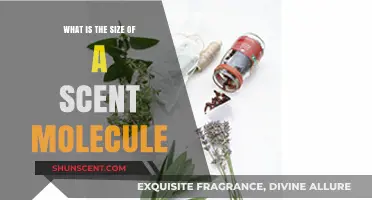 Unveiling the Microscopic World: Understanding the Size of Scent Molecules