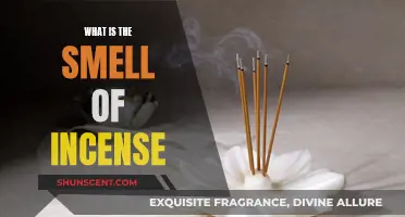 Incense Aromas: Fragrance and Relaxation