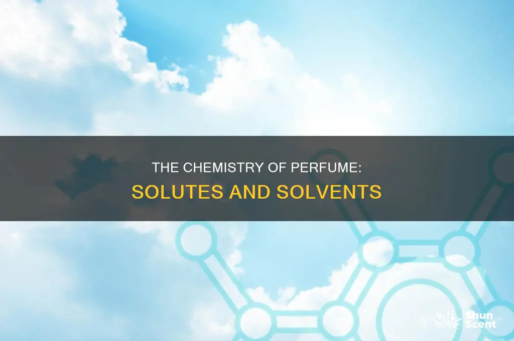 what is the solute and solvent in perfume