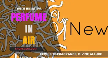 Perfume Diffusion: Solute in the Air