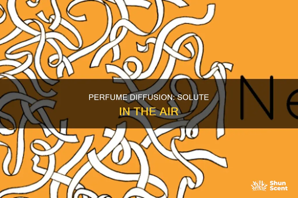 what is the solute of perfume in air