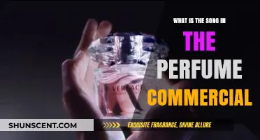 Scents and Sounds: Identifying Songs in Perfume Ads