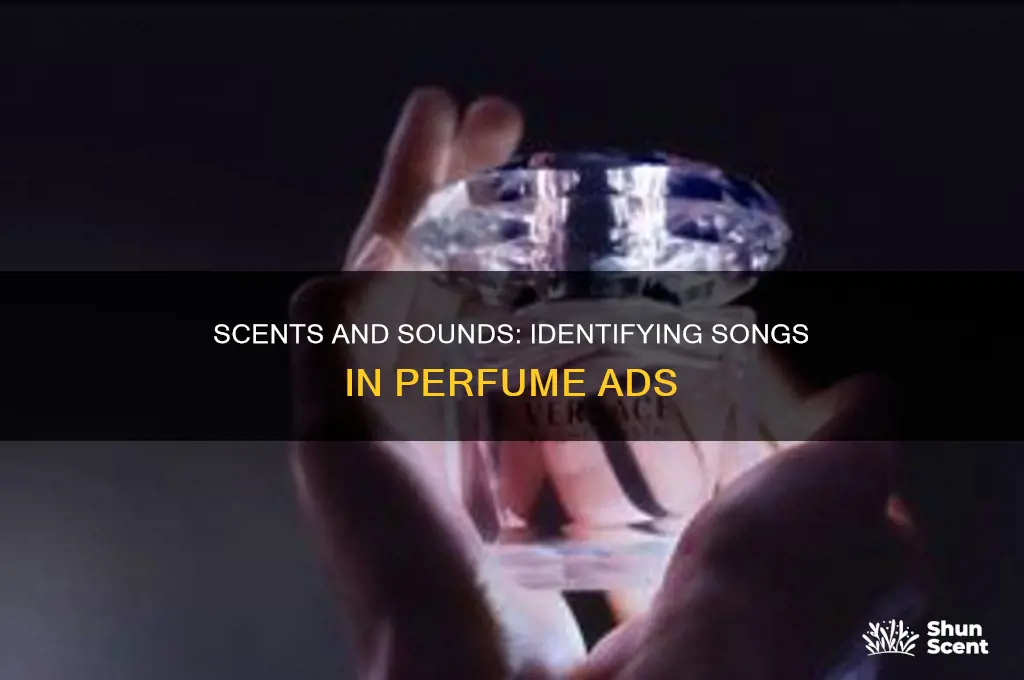 what is the song in the perfume commercial
