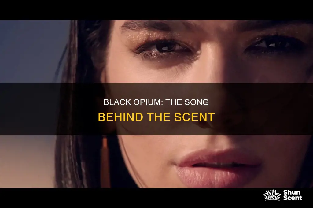 what is the song they use for black opium perfume
