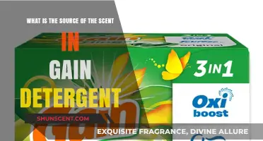 Unveiling the Secret: What Makes Gain Detergent Smell So Good?