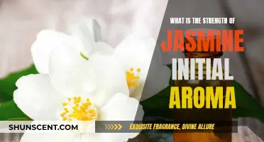 Jasmine's Initial Aroma: A Fragrant and Powerful Experience